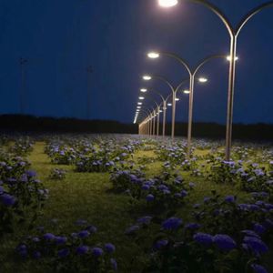 欧美乱乱乱乱视频
